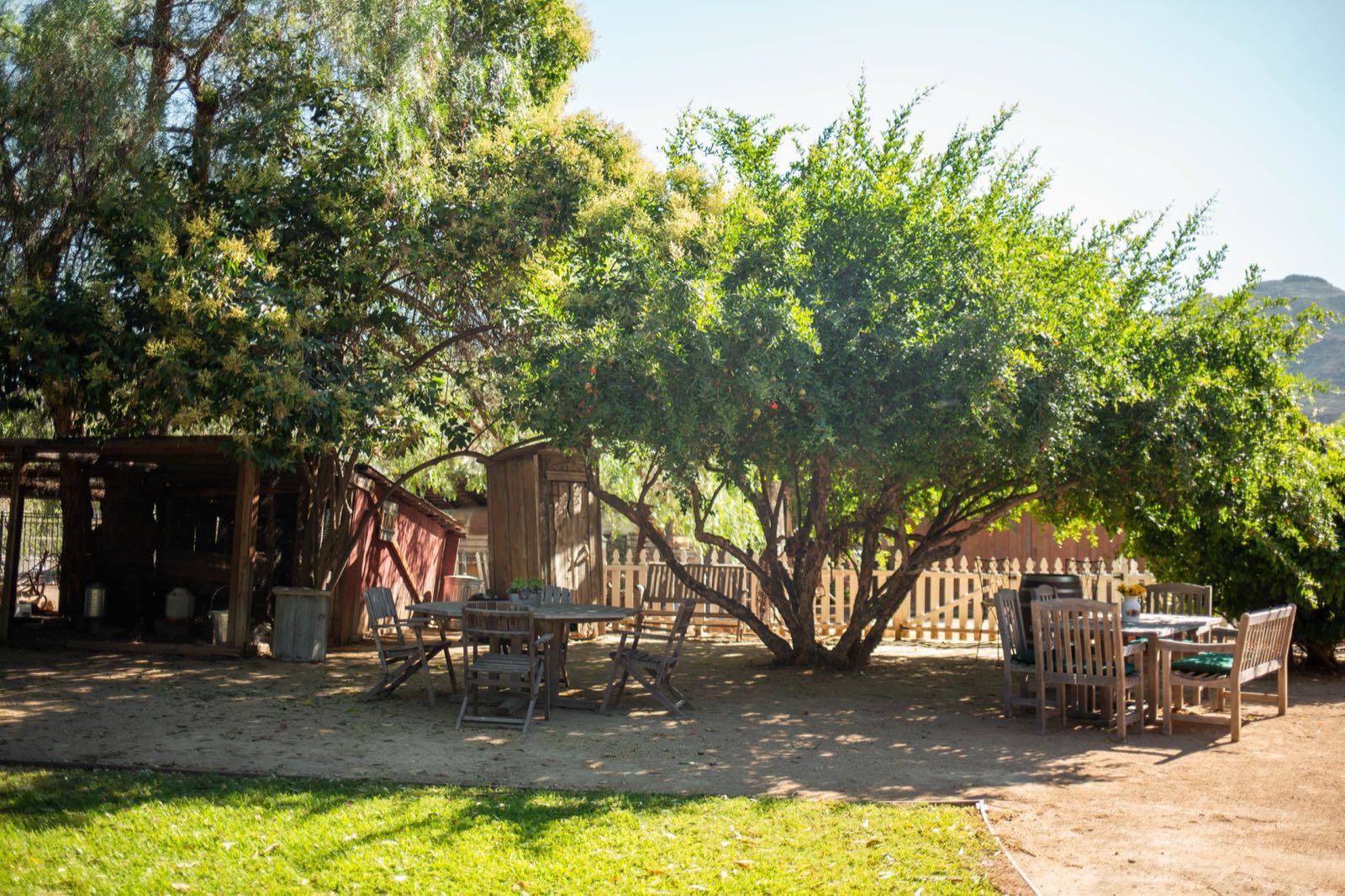 Big Nose Winery tasting room with banquette seating and chandeliers